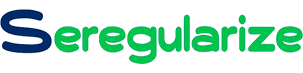 Seregularize - Contabilidade descomplicada Online